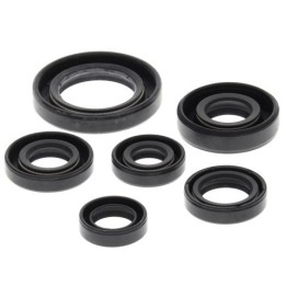 WINDEROSA (vertex) komplet (zestaw) uszczelniaczy silnikowych honda TRX300 ex 93-08, TRX300 x 09