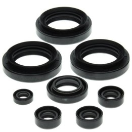 WINDEROSA (vertex) komplet (zestaw) uszczelniaczy silnikowych suzuki LT-F300F king quad 99-02, LT-F4WDX king quad 300 91-98