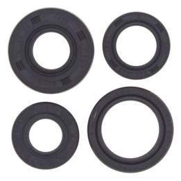 WINDEROSA (vertex) komplet (zestaw) uszczelniaczy silnikowych honda ATC250ES 85-87, ATC250SX 85-87, TRX250 fourtrax 85-87, TRX3…