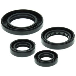 WINDEROSA (vertex) komplet (zestaw) uszczelniaczy silnikowych honda TRX250 recon 97-01