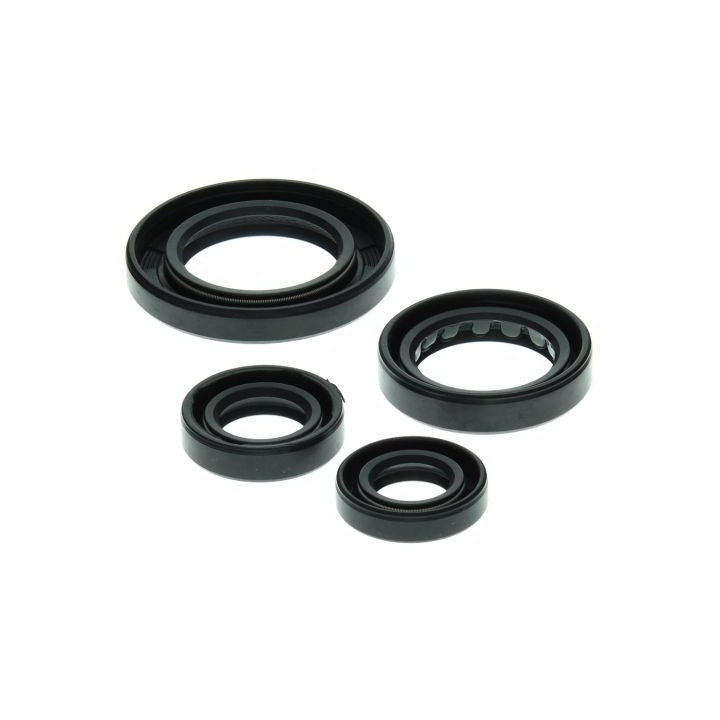 WINDEROSA (vertex) komplet (zestaw) uszczelniaczy silnikowych honda TRX250 recon 97-01
