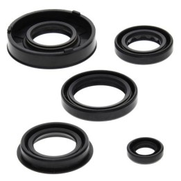 WINDEROSA (vertex) komplet (zestaw) uszczelniaczy silnikowych arctic cat 50 Y-6 04-05, 90 2-STROKE 02-04, 90 utility 2X4 06, ca…
