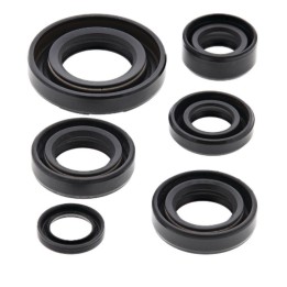 WINDEROSA (vertex) komplet (zestaw) uszczelniaczy silnikowych kawasaki KDX50 03-06, suzuki JR50 78-06
