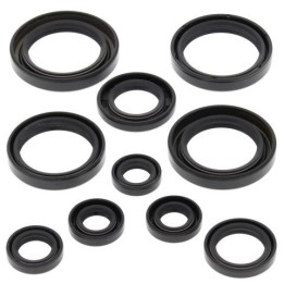 WINDEROSA (vertex) komplet (zestaw) uszczelniaczy silnikowych honda TRX450R 04-05