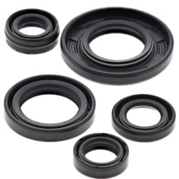 WINDEROSA (vertex) komplet (zestaw) uszczelniaczy silnikowych yamaha TTR125 drum brake '00-'21,