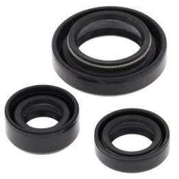 WINDEROSA (vertex) komplet (zestaw) uszczelniaczy silnikowych suzuki LT-F250 ozark 02-14, LT-Z250 04-09
