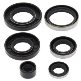 WINDEROSA (vertex) komplet (zestaw) uszczelniaczy silnikowych kawasaki KX250 83-84, KXT250 tecate 84-85