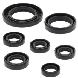 WINDEROSA (vertex) komplet (zestaw) uszczelniaczy silnikowych honda TRX250TE recon 02-21, TRX250TM recon 02-21, TRX250X / ex sp…