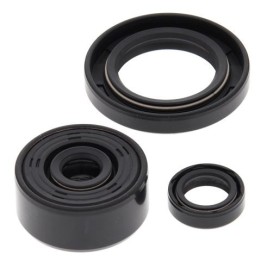 WINDEROSA (vertex) komplet (zestaw) uszczelniaczy silnikowych yamaha XT250 '08-'21, yfm 250 raptor '08-'13