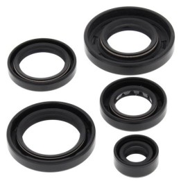 WINDEROSA (vertex) komplet (zestaw) uszczelniaczy silnikowych arctic cat 650 4X4 H1 07-11, 650 H1 ltd 05-07, 650 H1 mudpro 10-1…