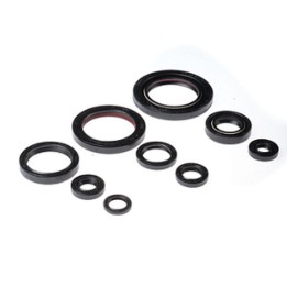 BEARING WORX komplet (zestaw) uszczelniaczy silnikowych honda trx 450ER '06-'14, trx 450R '06-'09 (822312)