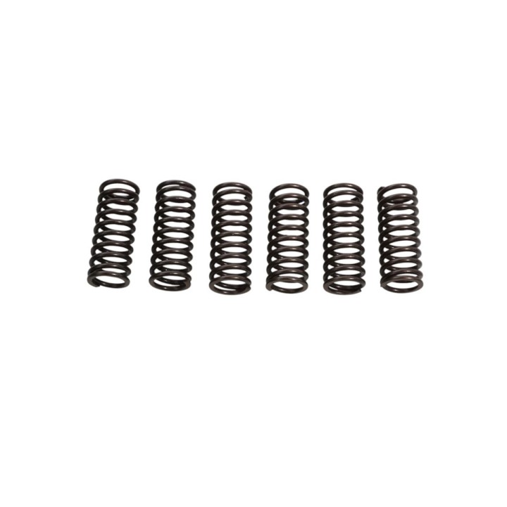 Silnik JR ebs sprężyny sprzęgłowe honda crf 450R 02-03, crf 450R 06-08 (6 sztuk)