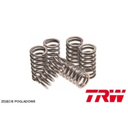 Silnik TRW zf sprężyny sprzęgłowe yamaha xv 125 / 250 virago 89-01, xvs drag star 125 / 250 01-04, (EBS052)