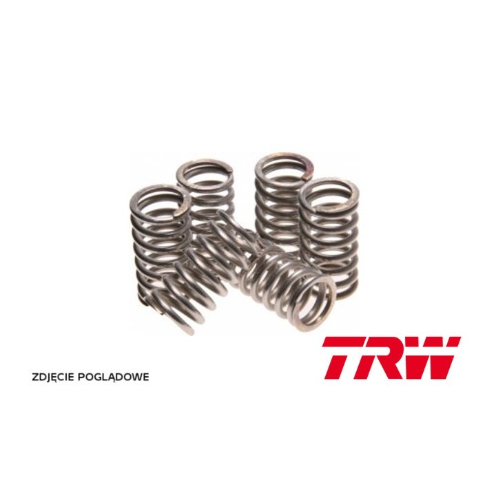 Silnik TRW zf sprężyny sprzęgłowe kawasaki ZX-6R 600 ninja 95-04, z 750 04-14, z 800 13-17, vn 2000 04-10, suzuki lt-f 160 quad…