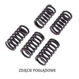 Silnik TRW zf sprężyny sprzęgłowe kawasaki klx 450R '07-'18, kx 450F '06-'11