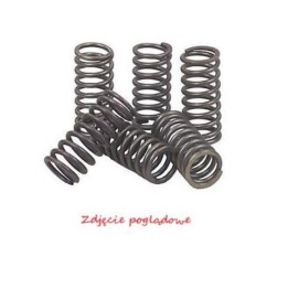 Silnik PSYCHIC sprężyny sprzęgłowe kawasaki klx 450R '08-'12, kx 450F '06-'11