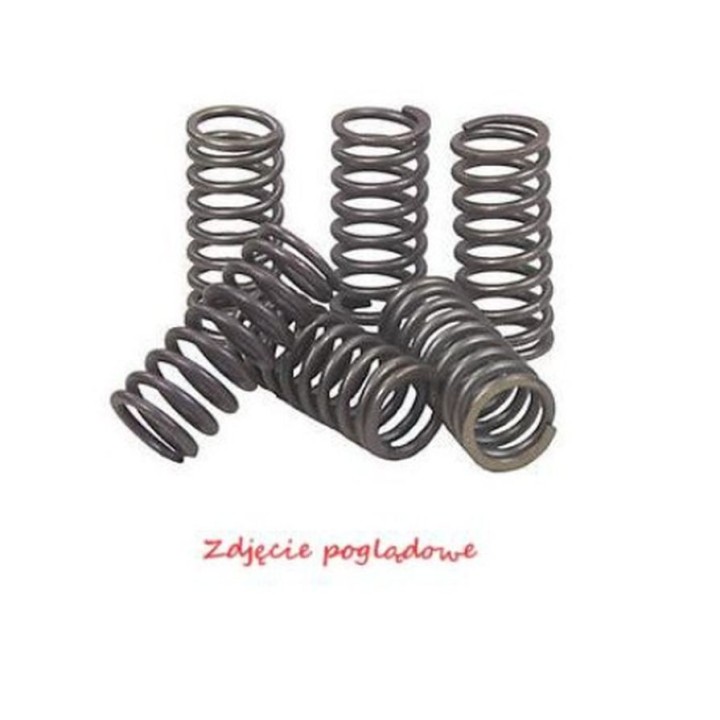 Silnik PSYCHIC sprężyny sprzęgłowe kawasaki klx 450R '08-'12, kx 450F '06-'11