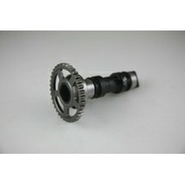 Silnik HOT CAMS wałek rozrządu honda crf 250 r/x (04-09) STAGE1