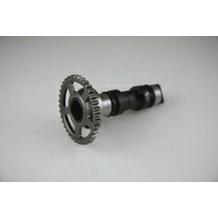 Silnik HOT CAMS wałek rozrządu honda crf 250 r/x (04-09) STAGE1