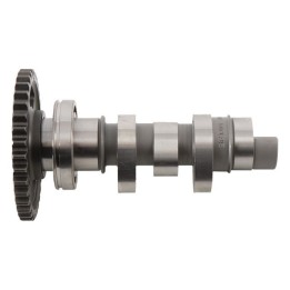 Silnik HOT CAMS wałek rozrządu honda crf 250R (04-09)
