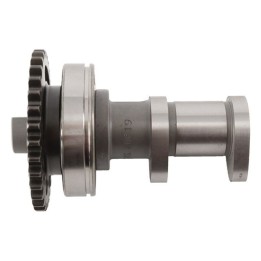Silnik HOT CAMS wałek rozrządu wydechowy suzuki rmz 250 '04-'06 , kawasaki kxf 250 f '04-'10