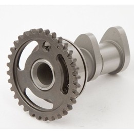 Silnik HOT CAMS wałek rozrządu suzuki rmz 250F 04-06, kawasaki KX250F 04-07