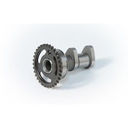 Silnik HOT CAMS wałek rozrządu kawasaki ssący kx 250F 04-10, rmz 250`04-06
