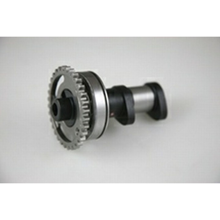 Silnik HOT CAMS wałek rozrządu kawasaki kx 250F 04-10, rmz 250