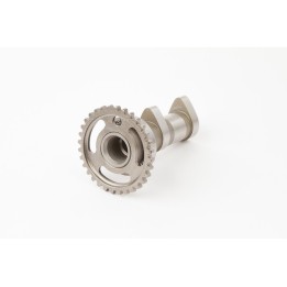 Silnik HOT CAMS wałek rozrządu suzuki rmz 450 2007