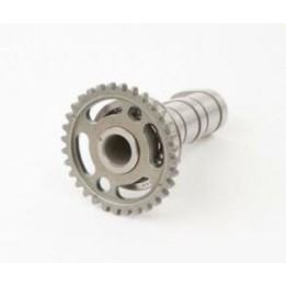 Silnik HOT CAMS wałek rozrządu ssący yamaha yz/wr 250F 01-13