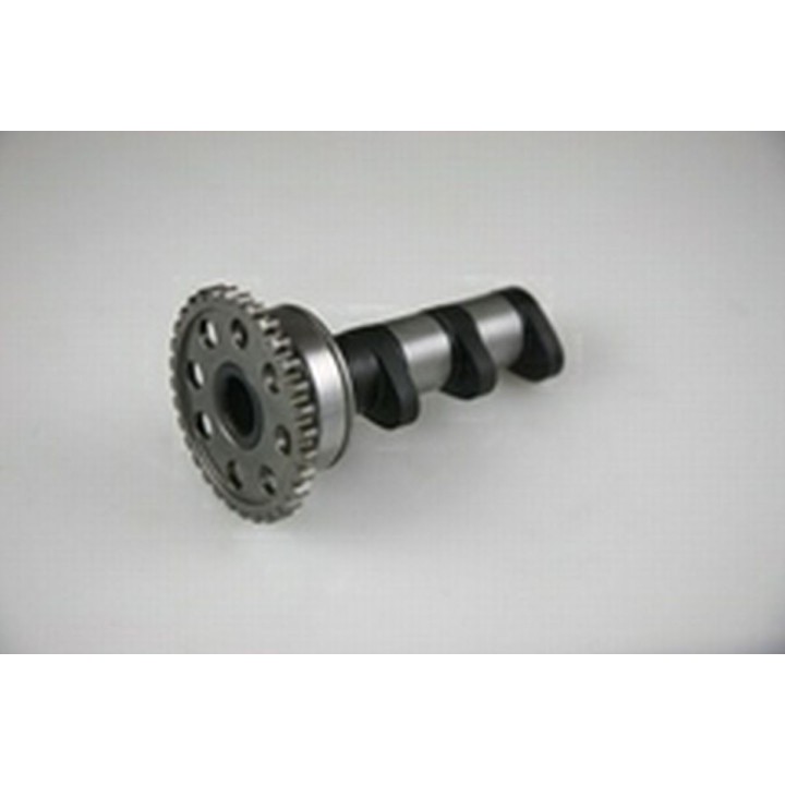Silnik HOT CAMS wałek rozrządu yamaha yzf 450 06-09, wrf 450 03-15, yfz 450 04-09 ssący