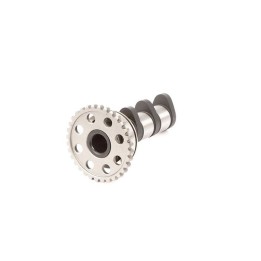 Silnik HOT CAMS wałek rozrządu yamaha yz 450F (03-09) ssący
