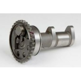 Silnik HOT CAMS wałek rozrządu yamaha yz 450F (03-09) wydechowy