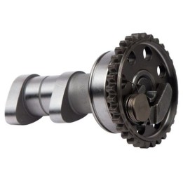 Silnik HOT CAMS wałek rozrządu wydechowy yamaha yzf 250 14-15