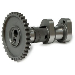 Silnik HOT CAMS wałek rozrządu (wydechowy) ktm sx-f 250 '13-'15 (SX-F250)
