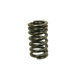 Silnik PSYCHIC sprężyna zaworu ssącego/wydechowego honda CRF150F 06-17