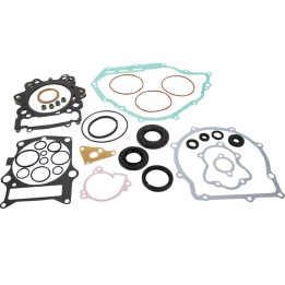 WINDEROSA (vertex) komplet uszczelek z uszczelniaczami silnikowymi yamaha yfm 700 grizzly / kodiak '19-'24, yxm 700 viking '19-…