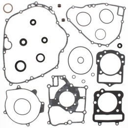 WINDEROSA (vertex) komplet uszczelek z uszczelniaczami silnikowymi kawasaki KEF300 lakota 95-03