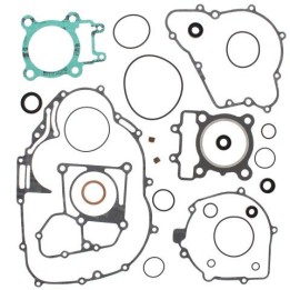 WINDEROSA (vertex) komplet uszczelek z uszczelniaczami silnikowymi kawasaki KLF250 bayou 03-11