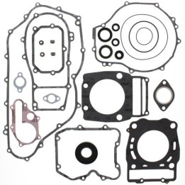 WINDEROSA (vertex) komplet uszczelek z uszczelniaczami silnikowymi polaris xpedition 425 00-02