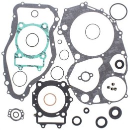 WINDEROSA (vertex) komplet uszczelek z uszczelniaczami silnikowymi arctic cat 650 4X4 H1 07-11, 650 H1 ltd 05-07, 650 H1 mudpro…