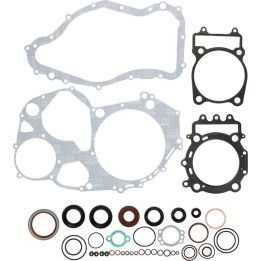 WINDEROSA (vertex) komplet uszczelek z uszczelniaczami silnikowymi arctic cat 700 efi 08-14, 700 trv 08-12, prowler 700 hdx 12-…