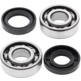 Silnik ALL BALLS łożyska wału korbowego z uszczelniaczami yamaha PW50 81-25, QT50 79-87