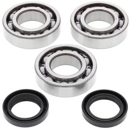 Silnik ALL BALLS łożyska wału korbowego z uszczelniaczami polaris big boss 250 93, trail blazer 250 93-98, trail boss 93-98