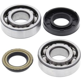 Silnik ALL BALLS łożyska wału korbowego z uszczelniaczami polaris predator 50/90 '03-'07, scrambler 50/90 '01-'03