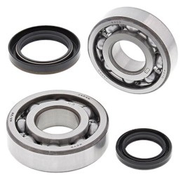 Silnik ALL BALLS łożyska wału korbowego z uszczelniaczami suzuki rmx 250 '89-'94 - wycofane z oferty
