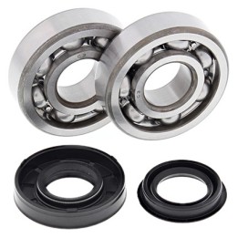 Silnik ALL BALLS łożyska wału korbowego z uszczelniaczami polaris sportsman 90 07-10