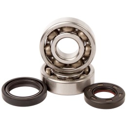 HOT RODS łożyska wału korbowego yamaha yz 125 98-00