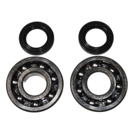 BEARING WORX łożyska wału korbowego kawasaki kdx 200 '91-'06, kdx 220 '97-'05 (ntn) (made in japan) (24-1045)
