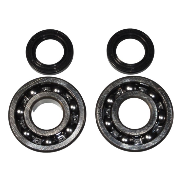 BEARING WORX łożyska wału korbowego kawasaki kdx 200 '91-'06, kdx 220 '97-'05 (ntn) (made in japan) (24-1045)